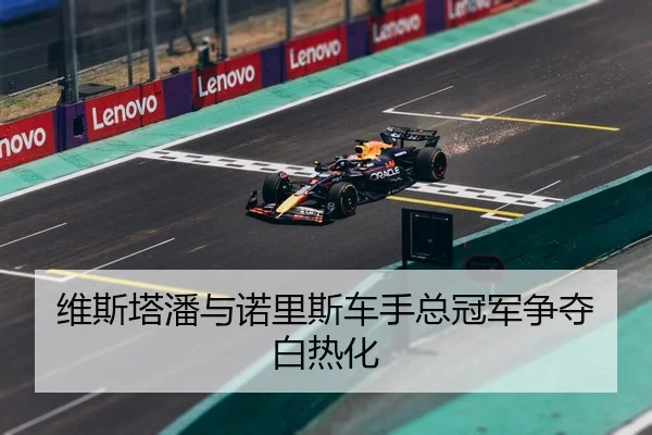 wei-si-ta-pan-yu-nuo-li-si-che-shou-zong-guan-jun-zheng-duo-bai-re-hua-2-283.jpg