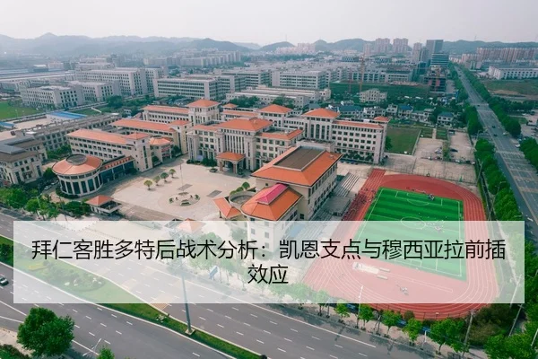 拜仁客胜多特后战术分析：凯恩支点与穆西亚拉前插效应